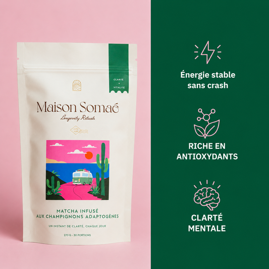 Matcha Premium infusé aux champignons adaptogènes