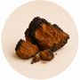 Chaga