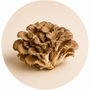 Maitake